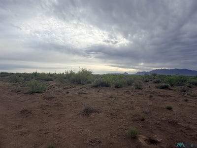 /international/us/camino-de-valdes-rd-sw-deming-nm-110108578578/