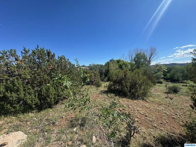 /international/us/2255-pinos-altos-road-silver-city-nm-110101316854/?lang=zh-cn