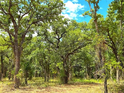 /international/us/tbd-c-turpin-lake-road-poolville-tx-110120462189/