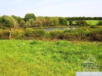 /international/us/county-route-19-livingston-ny-110103209902/