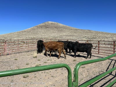 /international/us/costilla-county-parcel-400022-blanca-co-110105038628/