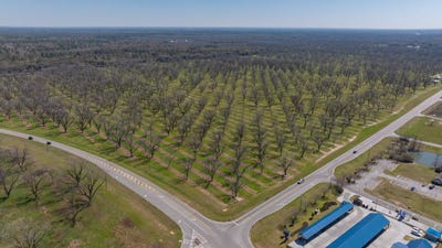 /international/us/0-us-highway-19-leesburg-ga-110100968260/?lang=zh-cn