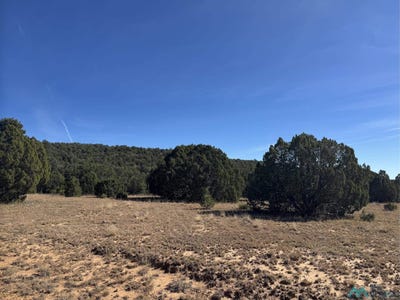 /international/us/above-serafina-road-serafina-nm-110107667170/