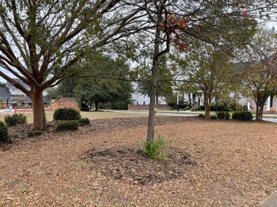 /international/us/2111-carnes-place-augusta-ga-110107930950/
