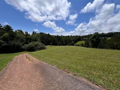 /international/us/lt-18-19-pond-overlook-lane-morganton-ga-110100316956/