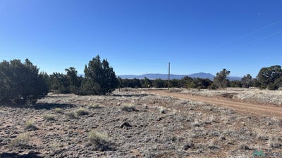 /international/us/navajo-way-road-quemado-nm-110106316334/