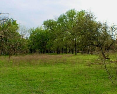 /international/us/tbd-cr-333-dublin-tx-110094489001/