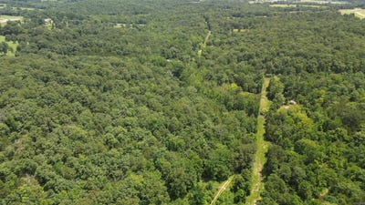 /international/us/881-driftwood-drive-pineville-ar-110098583297/