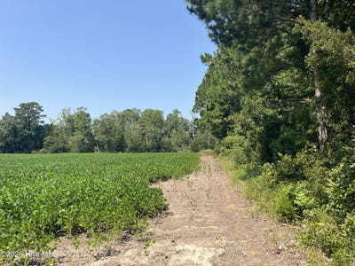 /international/us/94-whortonsville-road-merritt-nc-110119452800/
