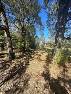 /international/us/0-greene-road-minden-la-110095915472/