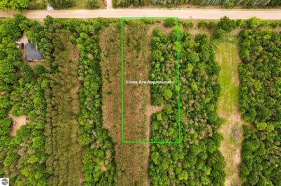 /international/us/parcel-e-saint-johns-road-interlochen-mi-110108656914/