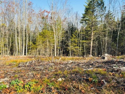 /international/us/homestead-lane-lot-70-barrington-nh-110103422137/