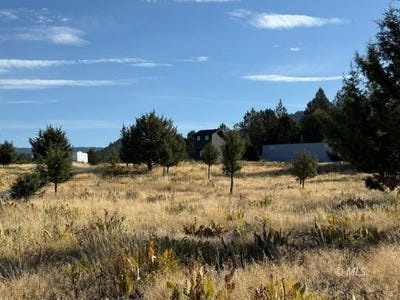 /international/us/old-coyote-ct-alturas-ca-110102717226/