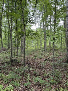 /international/us/lot-50-lake-dr-crimora-va-110108392565/