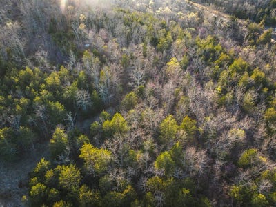 /international/us/7-acres-off-sargent-rd-cabool-mo-110098652417/