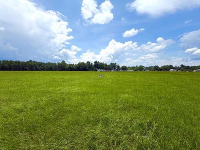 /international/us/alpine-tr-willacoochee-ga-110109063810/