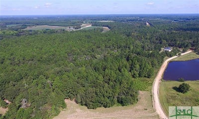/international/us/2120-banks-dairy-road-portal-ga-110094820903/