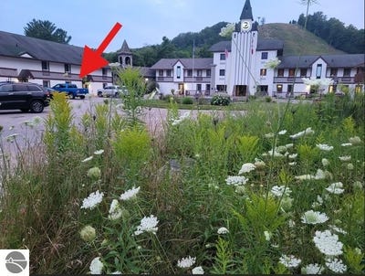 /international/us/6500-schuss-mountain-lane-mancelona-mi-110100614708/