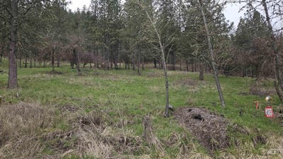 /international/us/tbd-pine-st-blk-56-lot-3-peck-id-110091696458/?lang=zh-tw