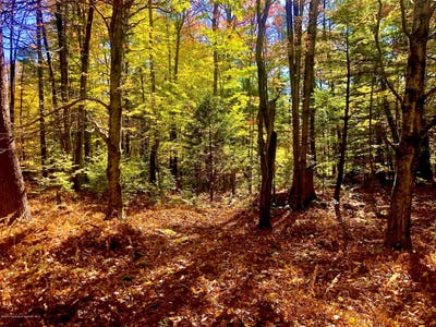 /international/us/36-kimberly-circle-thornhurst-pa-110088783141/?lang=es
