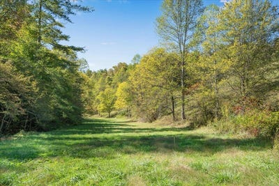/international/us/9999-ky-15-campton-ky-110106449972/