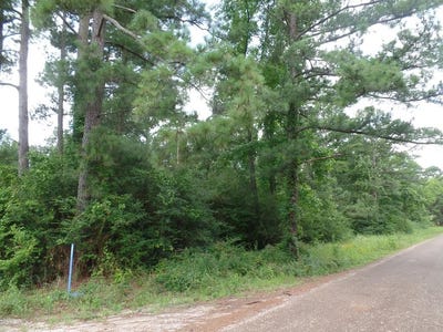 /international/us/340-cr-2650-shelbyville-tx-110105936083/