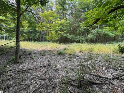 /international/us/lot-2-e-bellinger-road-cedar-mi-110101421972/?lang=zh-cn