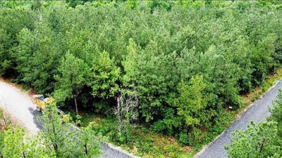 /international/us/25-mission-fig-trail-broken-bow-ok-110092411668/
