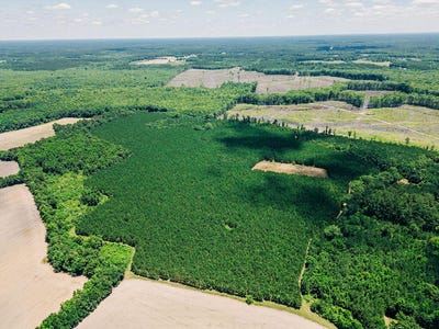 /international/us/0000-varnadoe-road-islandton-sc-110092230967/