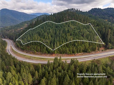 /international/us/sunny-valley-loop-road-wolf-creek-or-110106035176/