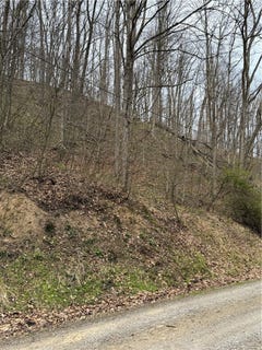 /international/us/coal-bank-hollow-rd-ford-city-pa-110107288184/