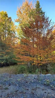 /international/us/steinfeldt-lane-long-lake-ny-110100317689/