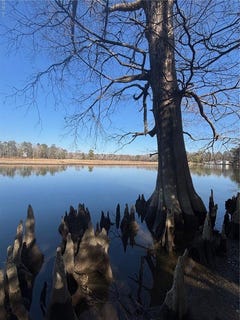 /international/us/339-neck-o-land-rd-williamsburg-va-110100309728/