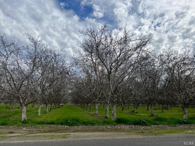 /international/us/18-3-4-ave-lemoore-ca-110108031375/