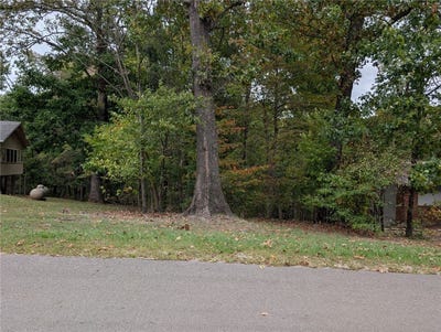 /international/us/park-lane-lot-2-bella-vista-ar-110120611300/