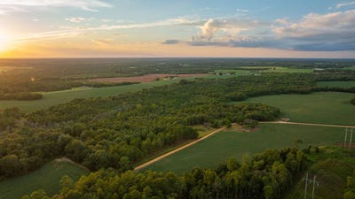 /international/us/nobles-road-pitts-ga-110120409158/