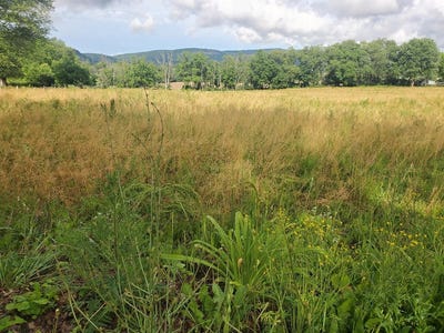 /international/us/0-laning-creek-rd-towanda-pa-110085862634/?lang=zh-tw