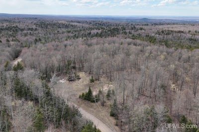 /international/us/tbdne-dogpatch-road-l-anse-mi-110107866535/