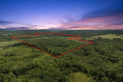 /international/us/lt1-maple-rd-neillsville-wi-110100585473/