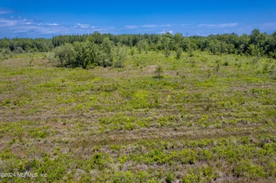 /international/us/se-113th-way-starke-fl-110091206531/