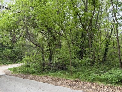 /international/us/eureka-avenue-seligman-mo-110107981764/
