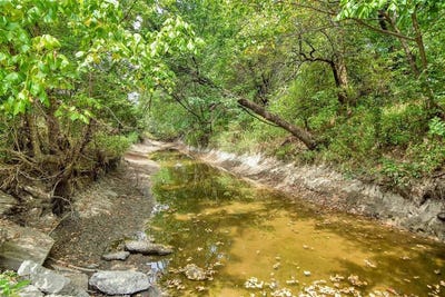 /international/us/10616-state-highway-78-n-blue-ridge-tx-110107684210/