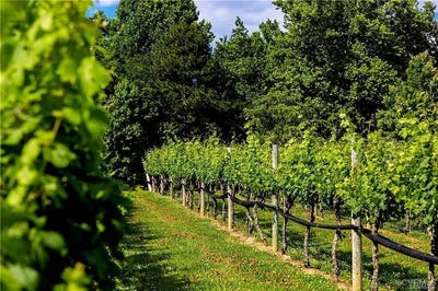 /international/us/7200-amarone-way-new-kent-va-110101065369/?lang=zh-tw