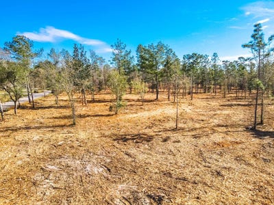 /international/us/tbd-chipola-rd-blountstown-fl-110091707410/?lang=zh-cn