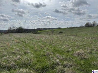 /international/us/3163-s-highway-105-hardinsburg-ky-110106957648/