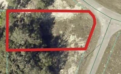 /international/us/00-maple-lane-ocklawaha-fl-110104237465/