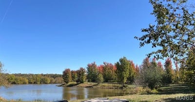 /international/us/0-kelley-30-acres-lane-jonesburg-mo-110100211582/