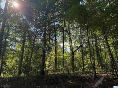 /international/us/00-cahaba-hill-road-brierfield-al-110101148336/?lang=zh-tw
