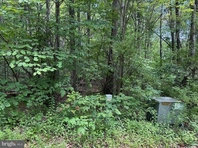 /international/us/apex-court-swanton-md-110108912225/