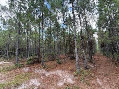 /international/us/0-lot-3-corbitt-road-manor-ga-110101218942/